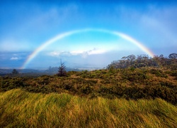 Tęcza nad Parkiem Narodowym Haleakalā na wyspie Maui na Hawajach