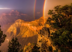 Stany Zjednoczone, Arizona, Park Narodowy, Wielki Kanion Kolorado, Tęcza, Drzewa