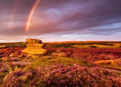 Wrzosowisko, Wzgórza, Skały, Zachód słońca, Tęcza, Park Narodowy Peak District, Hrabstwo Derbyshire, Anglia