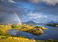 Szkocja, Góry Kaledońskie, Zatoka Loch Inchard, Tęcza, Morze