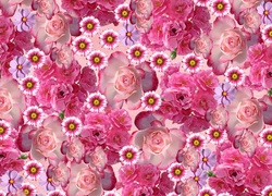 Tekstura z różowymi kwiatami