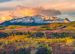 Telluride, Las, Jesień, Góry, San Juan Mountains, Pożółkłe, Drzewa, Kolorado, Stany Zjednoczone