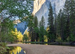 Góry, Kałuże, Drzewa, Teren, Cathedral Beach, Park Narodowy Yosemite, Kalifornia, Stany Zjednoczone
