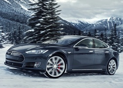 Tesla S P85D rocznik 2015 w zimowej scenerii