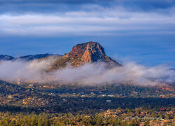 Stany Zjednoczone, Arizona, Prescott, Góra, Thumb Butte, Mgła, Drzewa