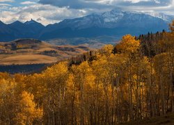 Góry, San Juan Mountains, Jesień, Dolina, Drzewa, Topole osikowe, Hrabstwo San Miguel, Kolorado, Stany Zjednoczone