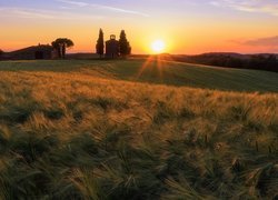 Toskańskie pola i dzwonnica w blasku slońca