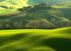 Toskańskie zielone wzgórza