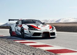 Toyota Supra GR, Droga, Samochód rajdowy