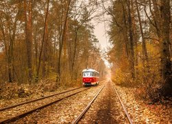 Tramwaj na torach w jesiennej aurze