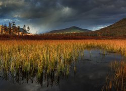 Jezioro, Góry, Trawa, Drzewa, Chmury, Kołyma, Obwód magadański, Rosja