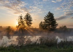 Rzeka, Drzewa, Przebijające światło