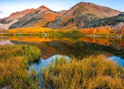 Trawy i jesienne drzewa nad jeziorem North Lake w Kalifornii