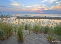 Stany Zjednoczone, Michigan, Jezioro, Lake Michigan, Szuwary, Trawy, Piasek