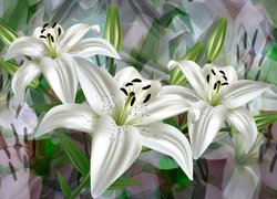 Kwiaty, Trzy, Białe, Lilie, 2D