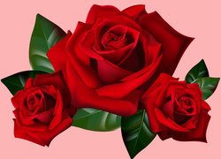 Trzy czerwone róże w grafice