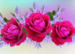 Trzy graficzne róże