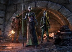 Trzy postacie z gry The Elder Scrolls Online Blackwood