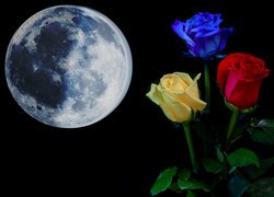 Trzy róże obok księżyca