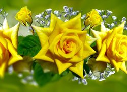 Trzy żółte róże