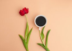 Tulipan obok kawy w filiżance