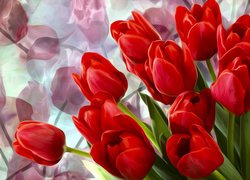 Tulipany czerwone w grafice