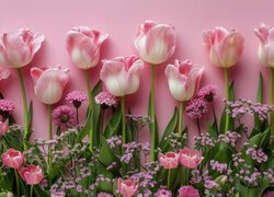 Tulipany i drobne kwiatki na różowym tle