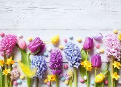 Tulipany i hiacynty z pisankami na deskach