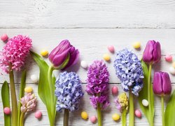 Kwiaty, Hiacynty, Tulipany, Kolorowe, Cukierki, Deski