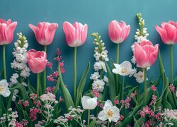 Tulipany i kolorowe kwiaty na niebieskim tle