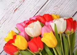 Kwiaty, Kolorowe, Tulipany, Białe, Deski