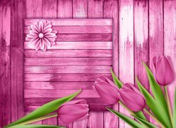 Tulipany na różowych deskach w 2D