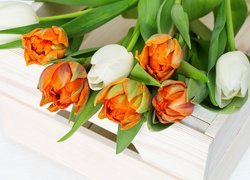 Białe, Pomarańczowe, Tulipany, Drewniana, Skrzynka