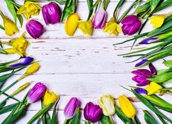 Kwiaty, Tulipany, Żonkile, Irysy