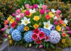 Bukiet, Kwiaty, Tulipany, Lilie, Hortensje, Kamień