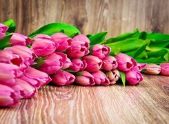 Różowe, Tulipany, Deski