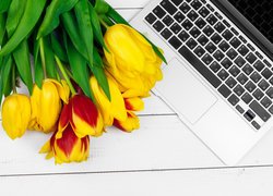 Tulipany przy laptopie