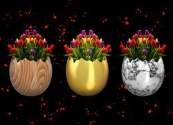 Tulipany w kolorowych skorupkach