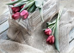 Tulipany, Pudełko