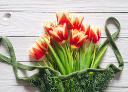 Kwiaty, Tulipany, Zielona, Siatka, Deski