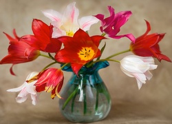 Kolorowe, Tulipany, Szklany, Wazon