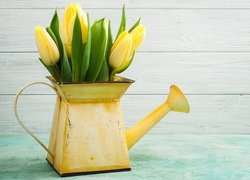 Żółta, Konewka, Żółte, Tulipany