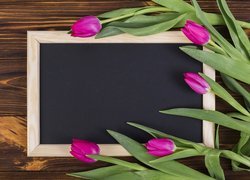 Tulipany wokół tabliczki