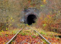 Tory kolejowe, Barierki, Liście, Drzewa, Krzewy, Tunel