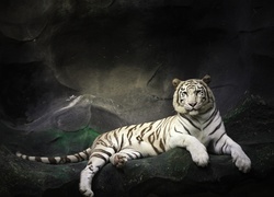 Tygrys relaksujący się na skałach