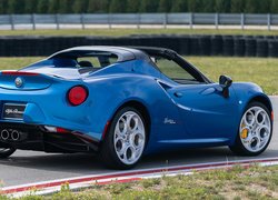 Alfa Romeo 4C Spider, Tył