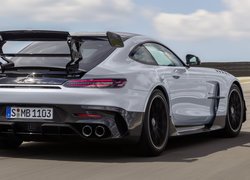 Mercedes-AMG GT R, 2019, Tył