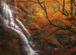 Wodospad, Uguna waterfall, Las, Jesień, Drzewa, Strumień, Park Narodowy Gorbea, Kraj Basków, Hiszpania