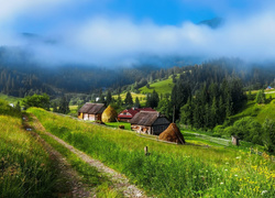 Ukraina, Wioska, Domy, Droga, Góry Karpaty, Mgła