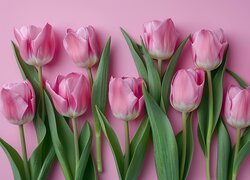 Różowe, Tulipany, Tło, Listki